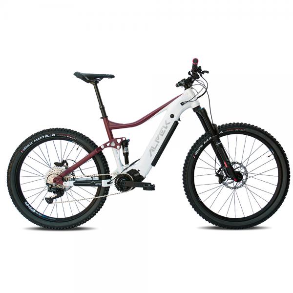 MTB E-bike Evoke COMP (FULL)